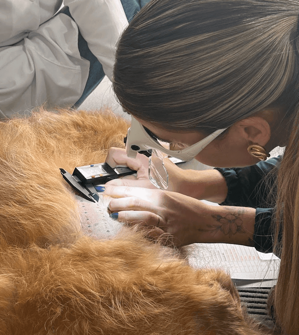 Dra. Dyba realizando teste de alergia intradérmico em um cão