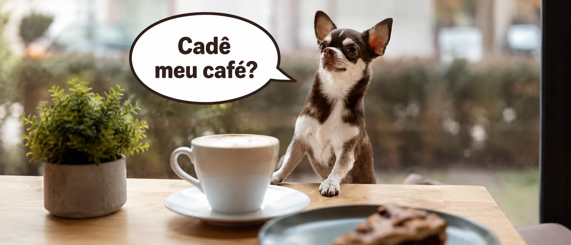Cachorro em uma mesa de café, pedindo (onde está meu café)
