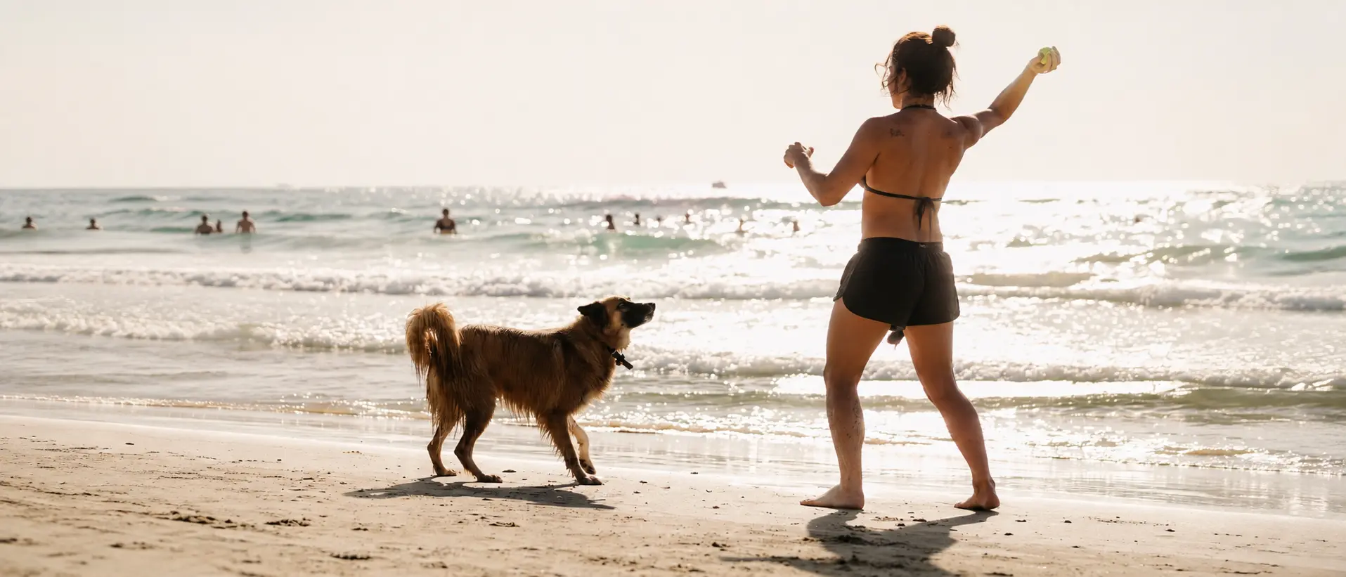 Mulher jogando bolinha para o cachorro na praia